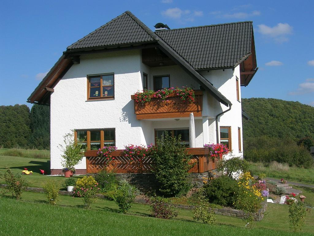 Ferienwohnung Mause 梅德巴赫 客房 照片