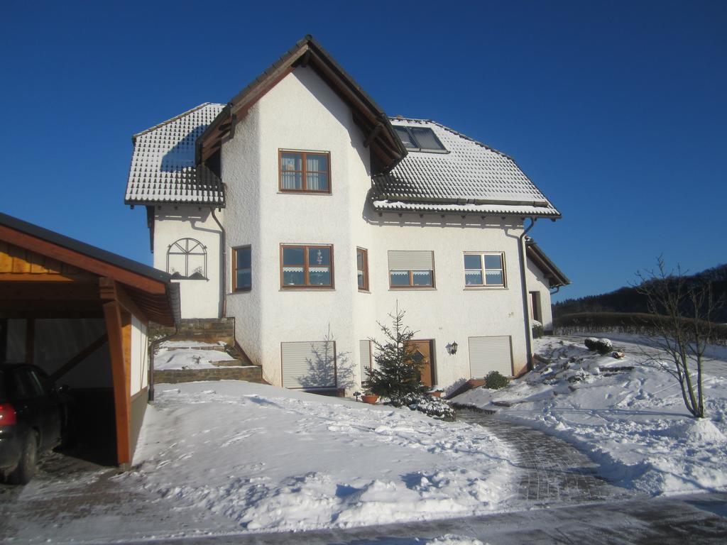 Ferienwohnung Mause 梅德巴赫 外观 照片
