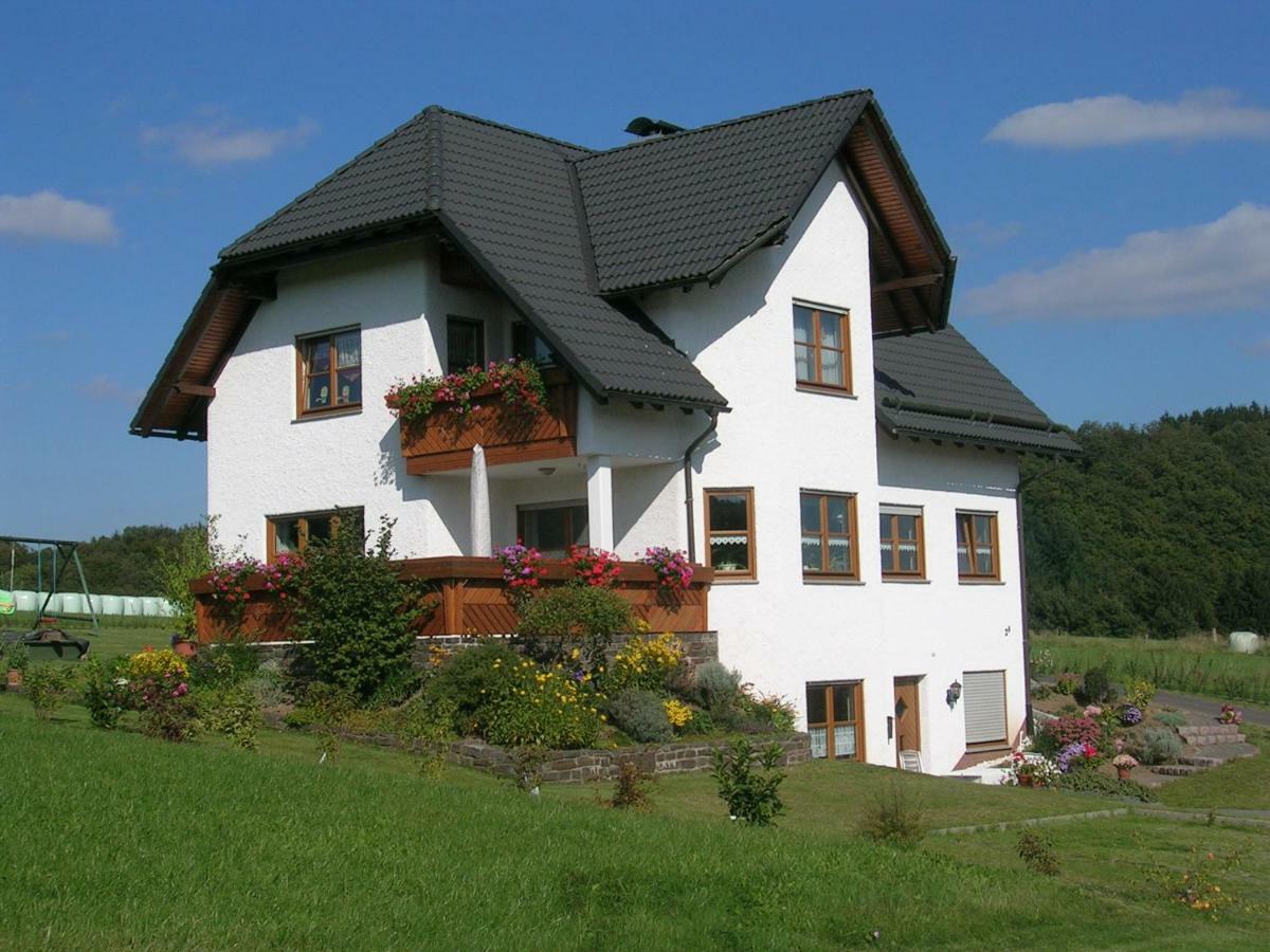 Ferienwohnung Mause 梅德巴赫 外观 照片